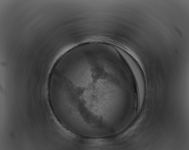 X0000091001045200708021556