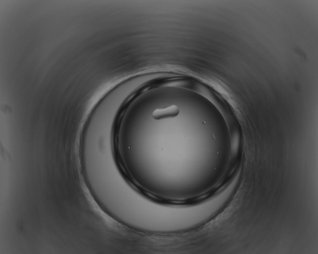 X0000091001046200708021556