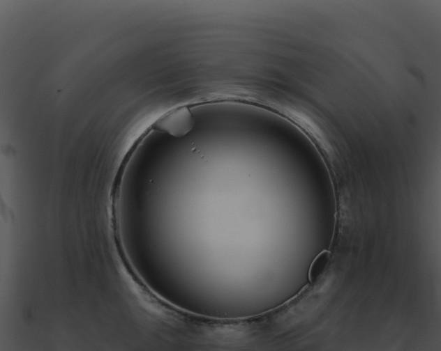 X0000091001047200708021556