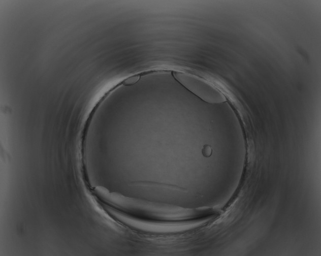 X0000091001048200708021556