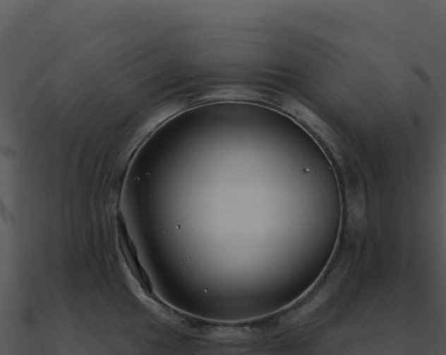 X0000091001049200708021556