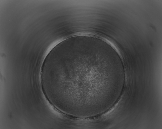 X0000091001050200708021556