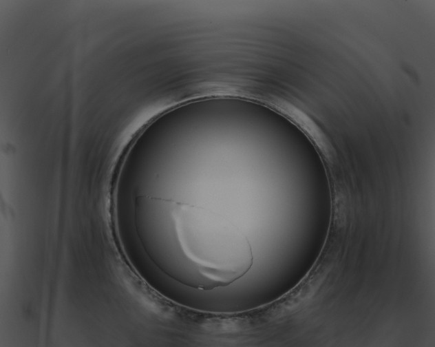 X0000091001051200708021556