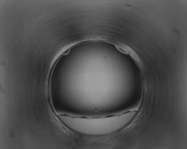 X0000091001052200708021556