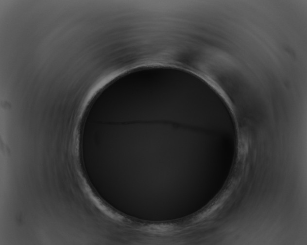 X0000091001053200708021556