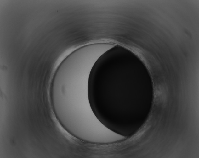 X0000091001054200708021556