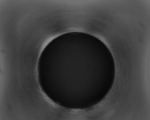 X0000091001056200708021556