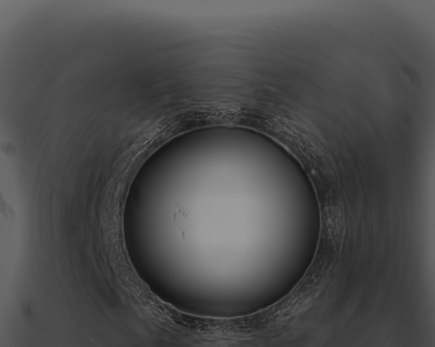 X0000091001057200708021556