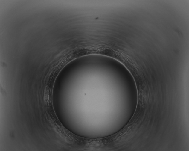 X0000091001058200708021556