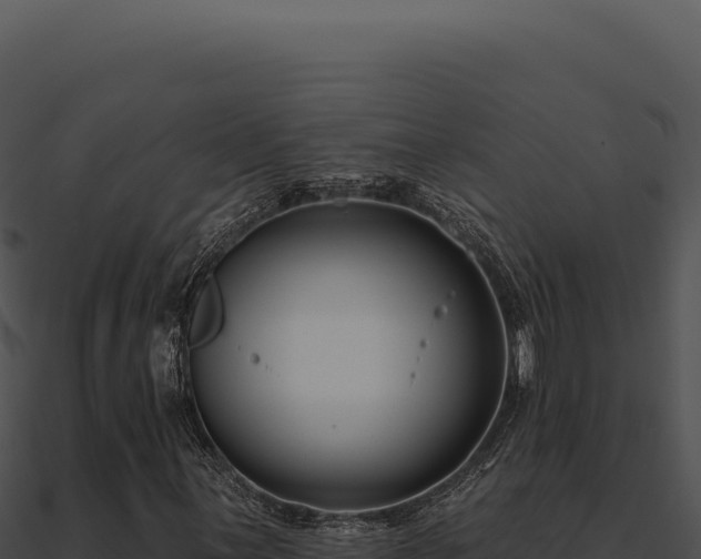 X0000091001059200708021555