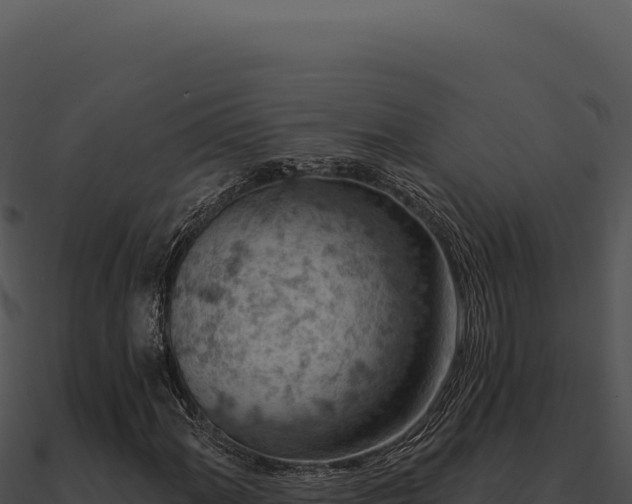 X0000091001060200708021555