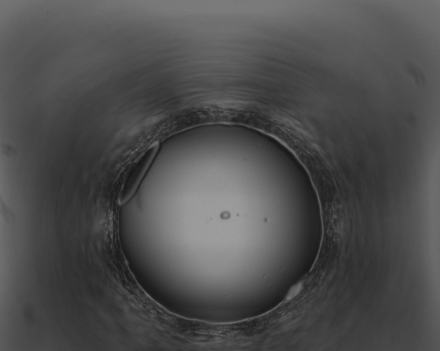 X0000091001061200708021555