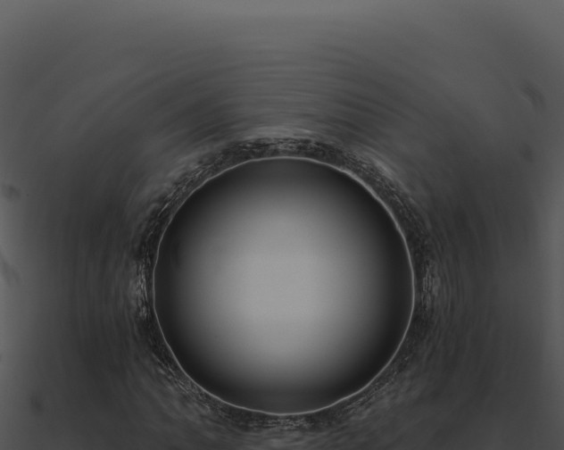 X0000091001062200708021555