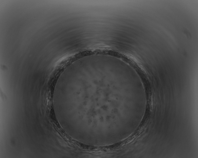 X0000091001063200708021555