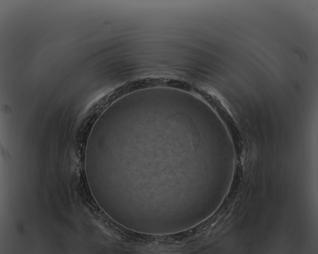 X0000091001064200708021555
