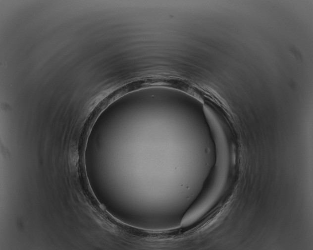 X0000091001065200708021555