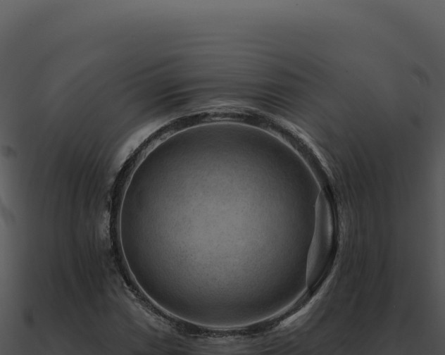 X0000091001066200708021555