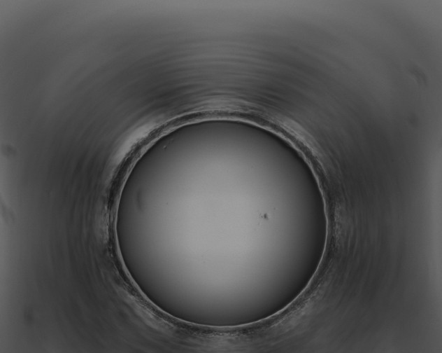 X0000091001067200708021555