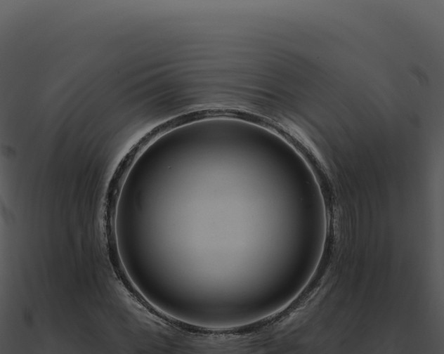 X0000091001068200708021555