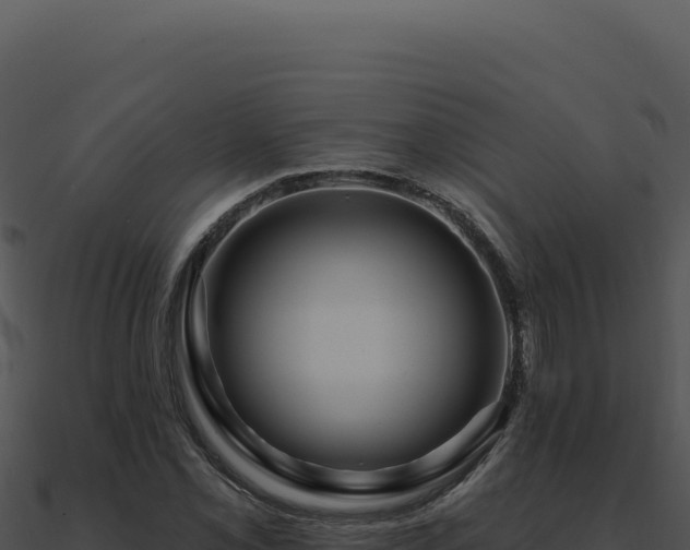 X0000091001069200708021555