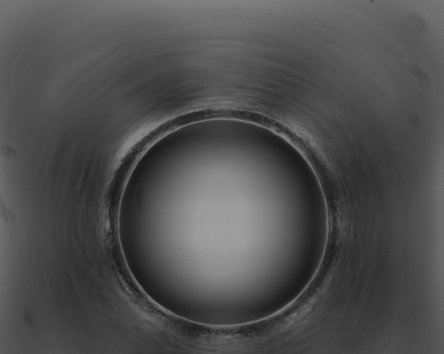 X0000091001070200708021555