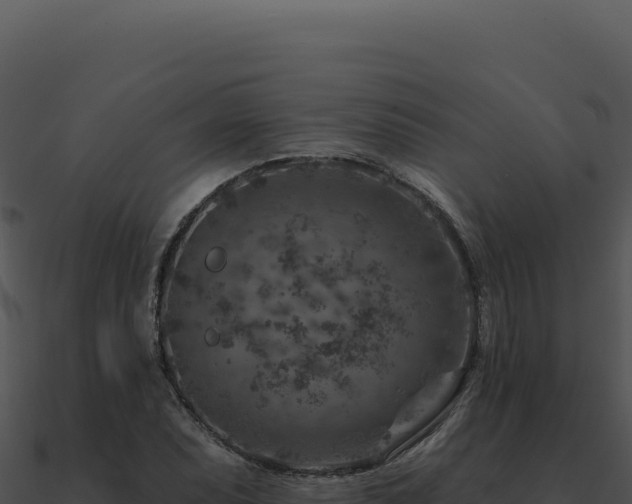 X0000091001071200708021555