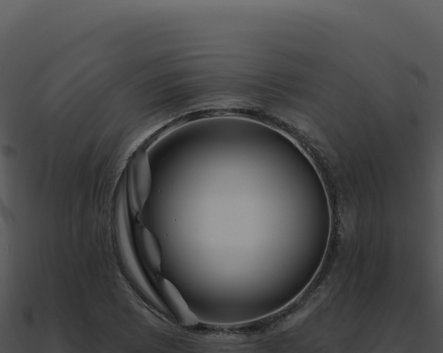 X0000091001073200708021555