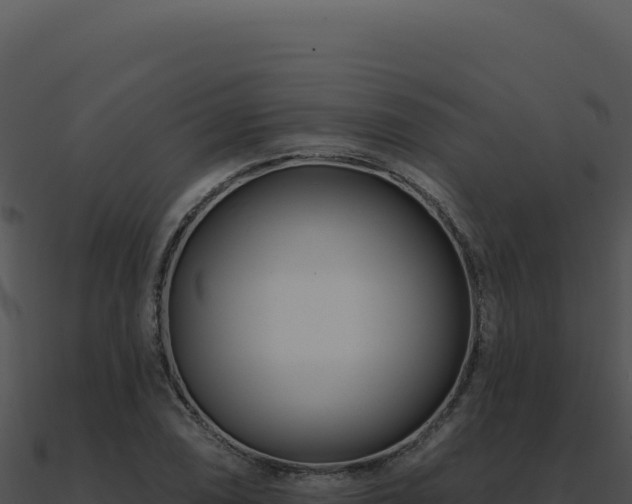 X0000091001074200708021555