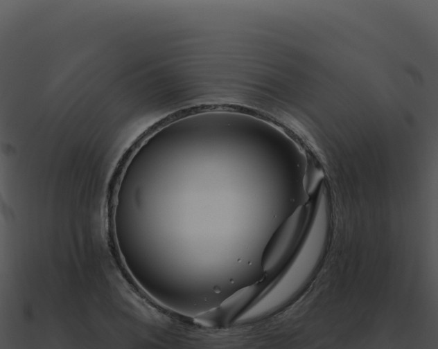X0000091001076200708021555