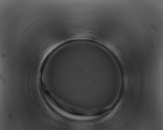 X0000091001077200708021555
