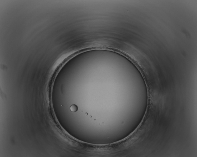 X0000091001078200708021555