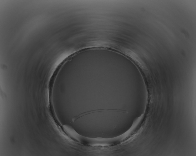 X0000091001079200708021555
