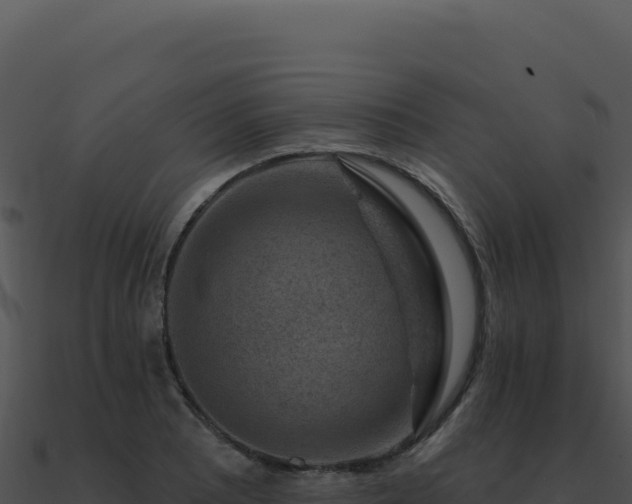 X0000091001081200708021555