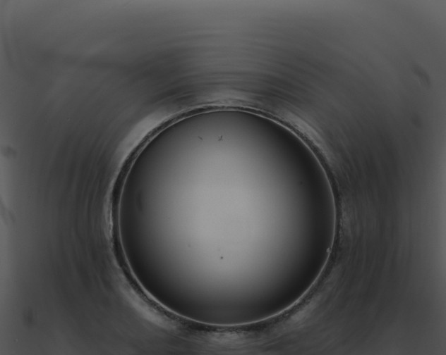 X0000091001082200708021555