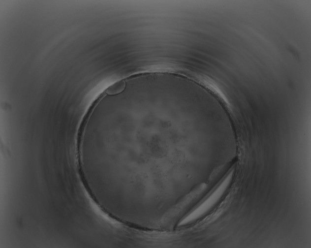 X0000091001087200708021555