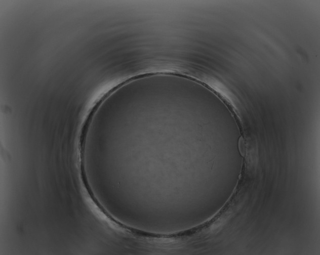 X0000091001088200708021555