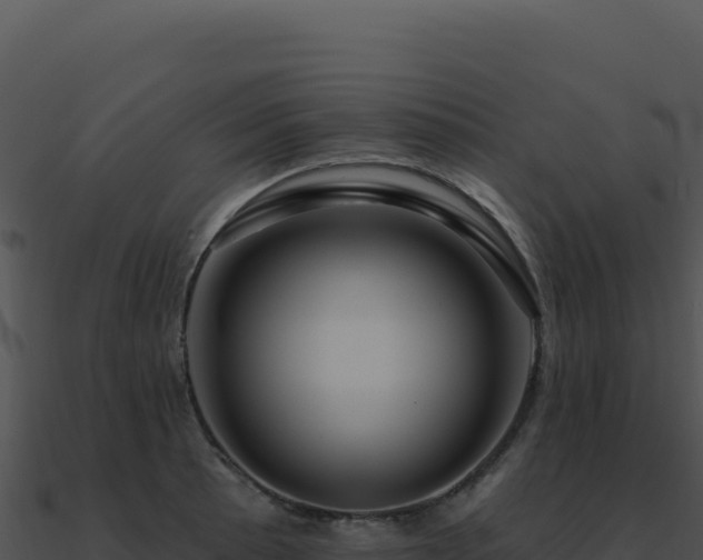 X0000091001089200708021555