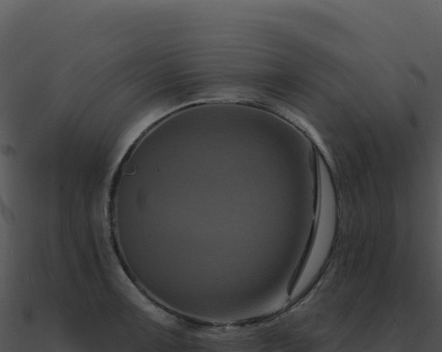 X0000091001091200708021555