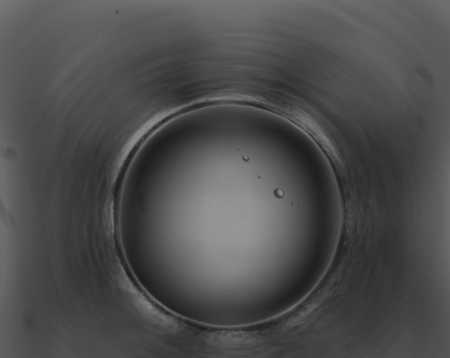 X0000091001092200708021555