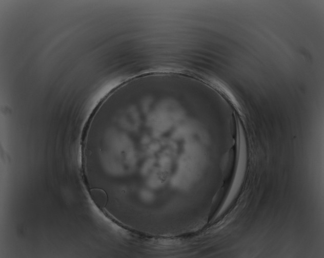 X0000091001095200708021555