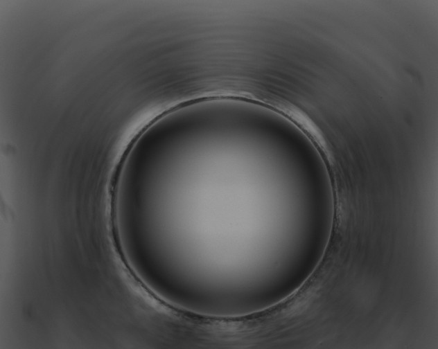 X0000091001096200708021555
