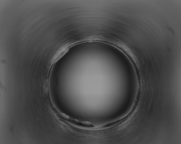 X0000091001097200708021555