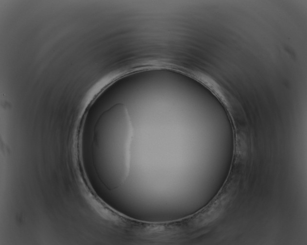 X0000091001098200708021555