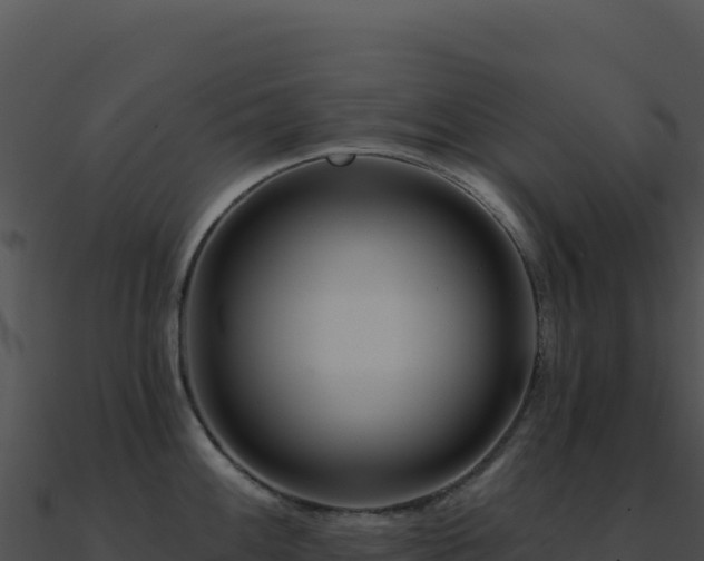 X0000091001100200708021555