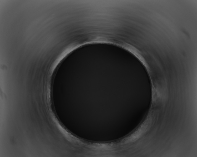 X0000091001101200708021555