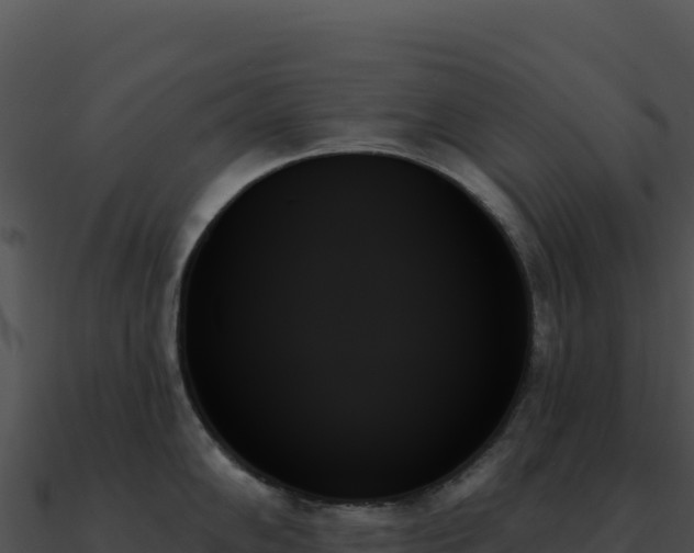 X0000091001102200708021555