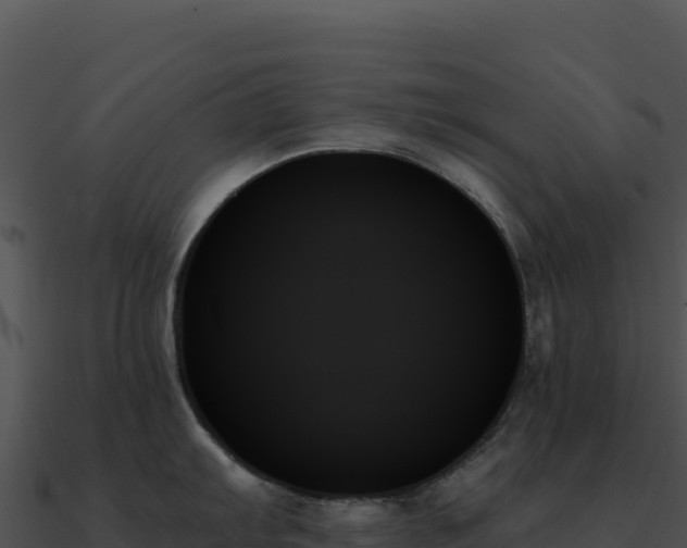 X0000091001103200708021555