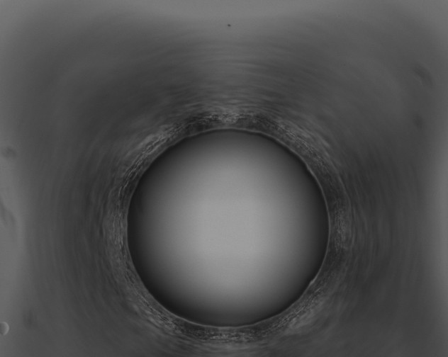 X0000091001105200708021554