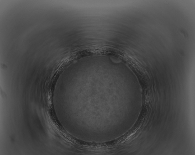 X0000091001106200708021554