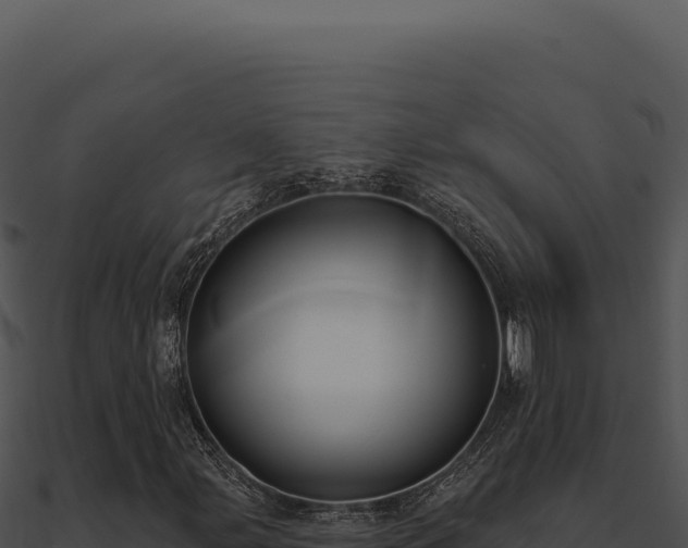 X0000091001107200708021554